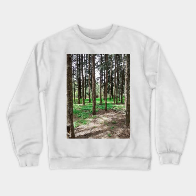 Lost in the woods Crewneck Sweatshirt by GRKiT